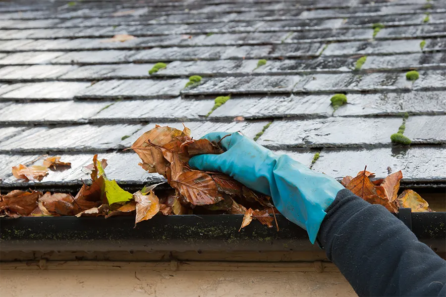Skilled Gutter Cleaning Services