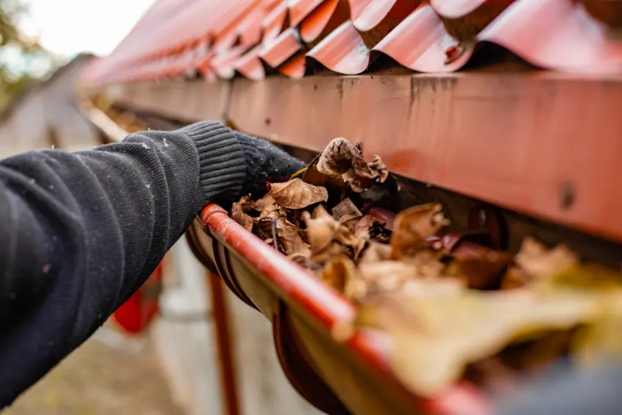 How Commercial Gutter Cleaning Prevents Water Damage West Hartford, CT