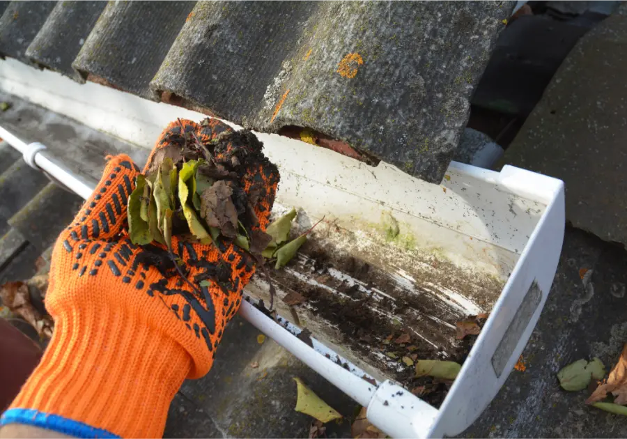 How Commercial Gutter Cleaning Prevents Water Damage in West Hartford, CT