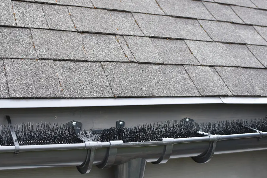 How Gutter Guards Prevent Pest Infestations In Your Gutters West Hartford, CT How Gutter Guards Prevent Pest Infestations In Your Gutters West Hartford, CT