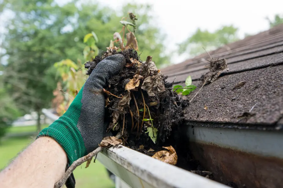 Excellent Commercial Gutter Cleaning in West Hartford, CT Excellent Commercial Gutter Cleaning in West Hartford, CT